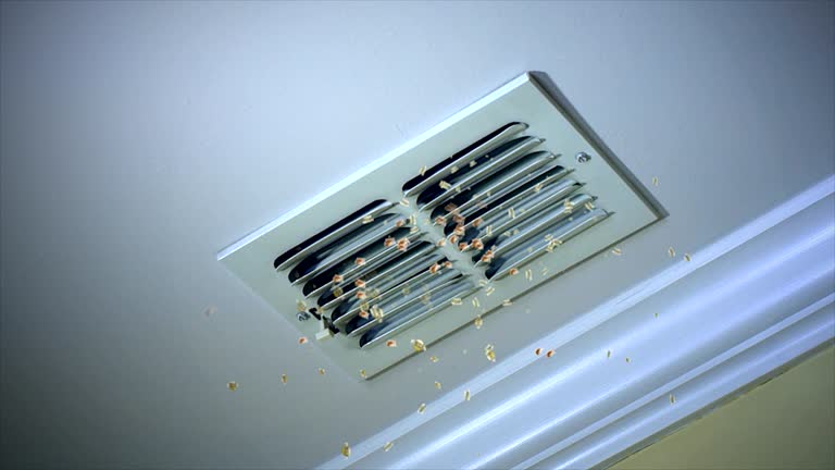 Best Local Air Duct Cleaning Services  in Kingsland, GA